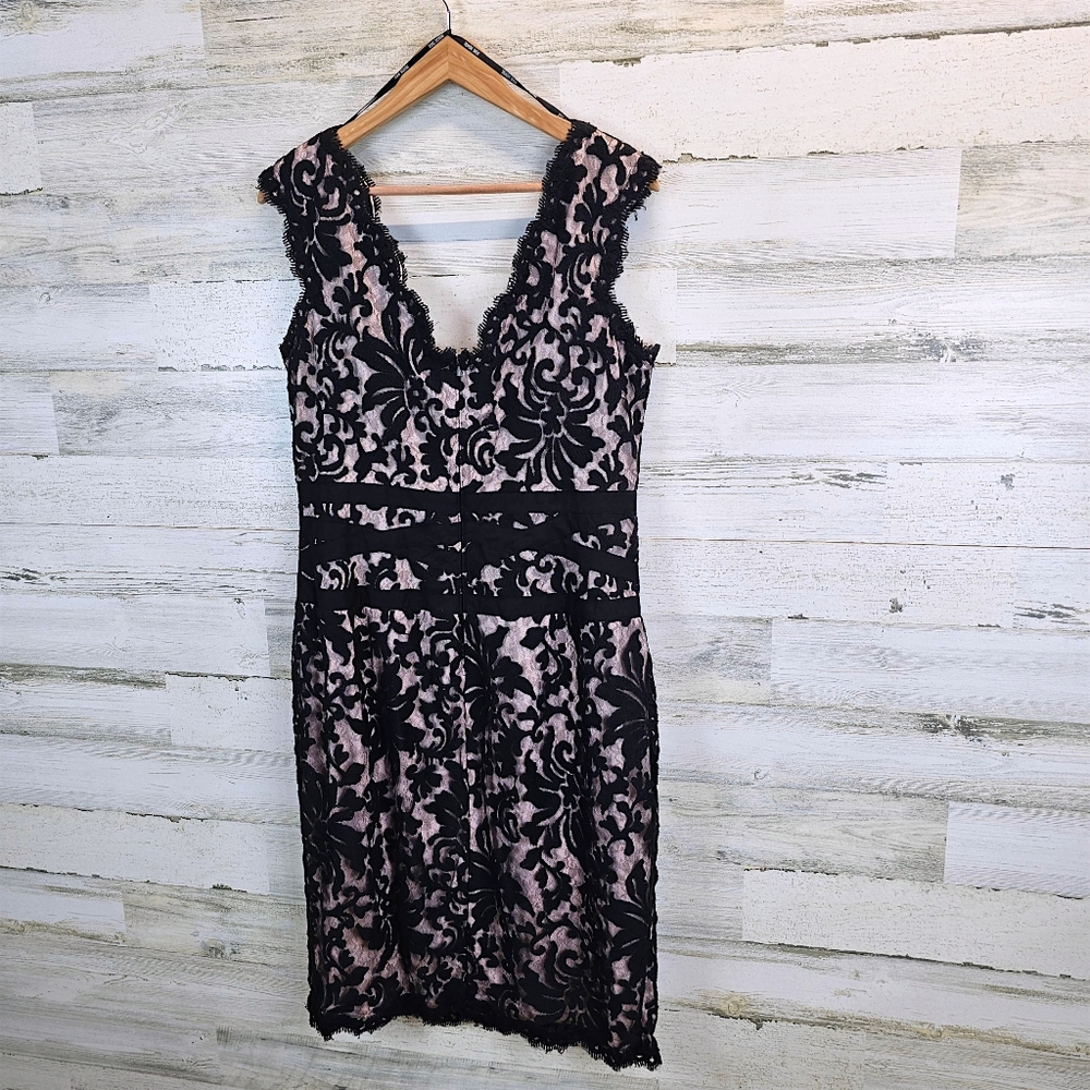 Tadashi Shoji Black Lace Overlay Cocktail Dress 16 Elegant Romantic Sheath - Picture 5 of 14
